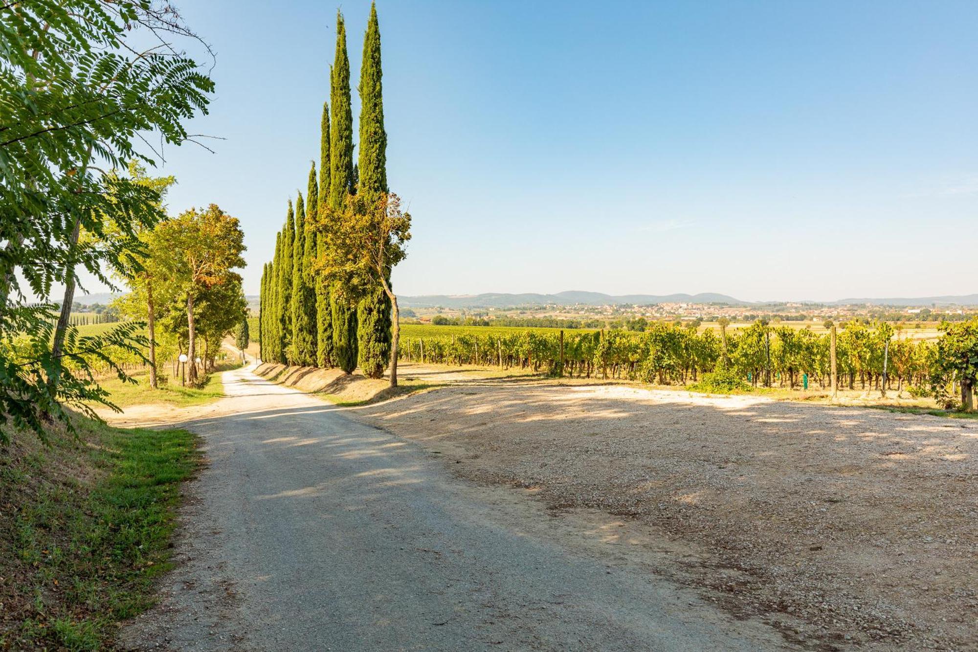 Vermentino Villa Montepulciano Stazione Exterior foto